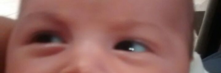 BetiaBonzi's profile banner image