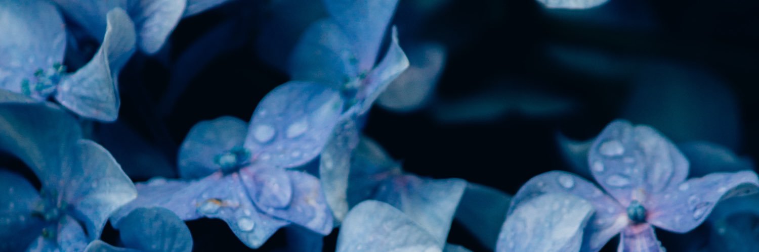28__air's profile banner image