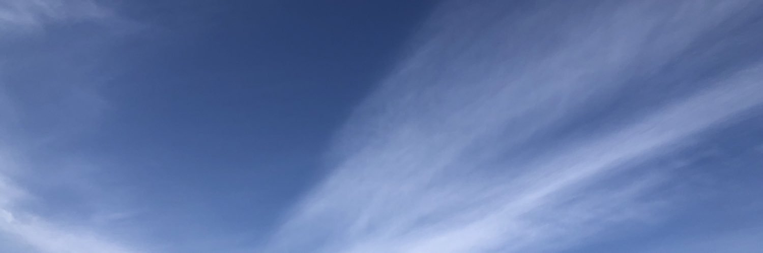 PhoenixHiroshi's profile banner image