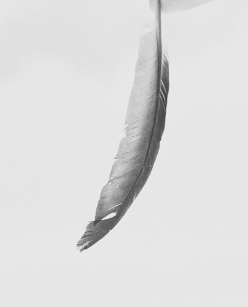 JustErrol's profile banner image