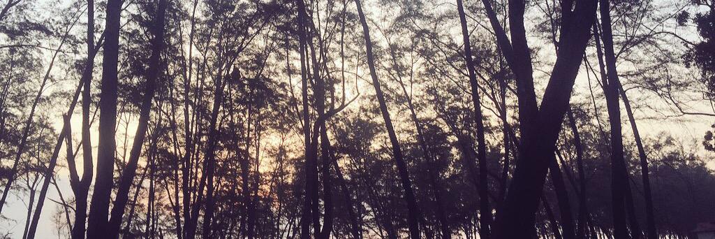 KJeaneve's profile banner image