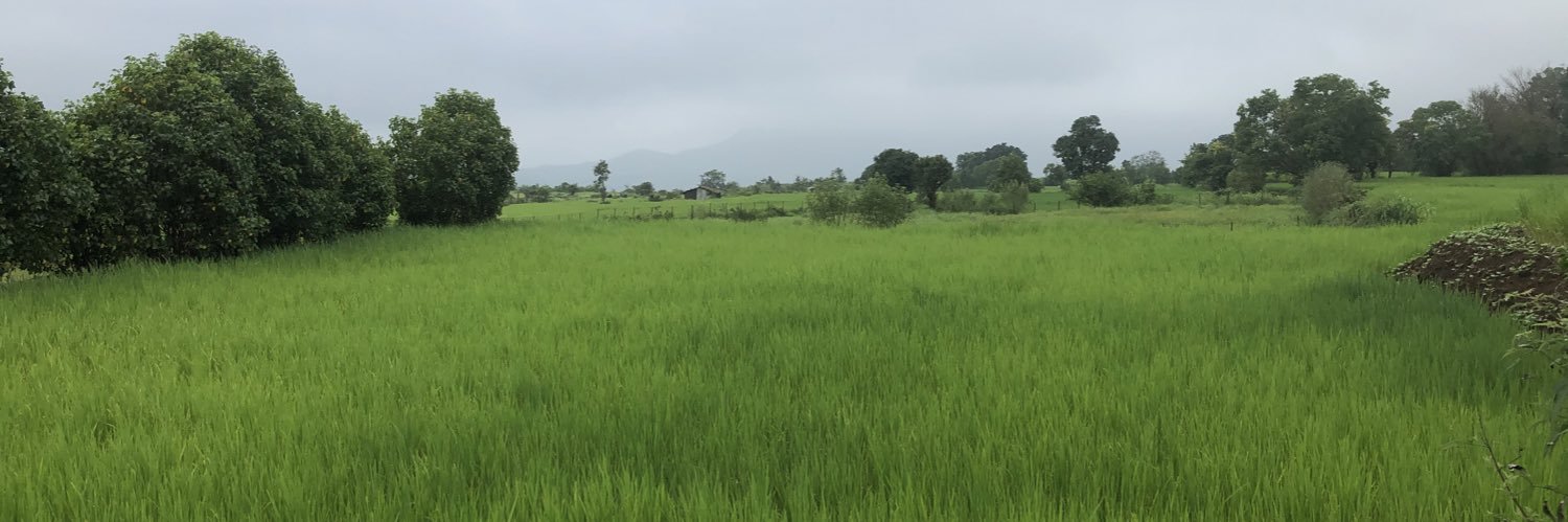 jayagoyal2's profile banner image
