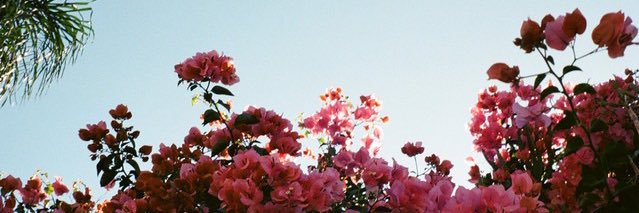 ੯‧̀͡u\ 벨 banner