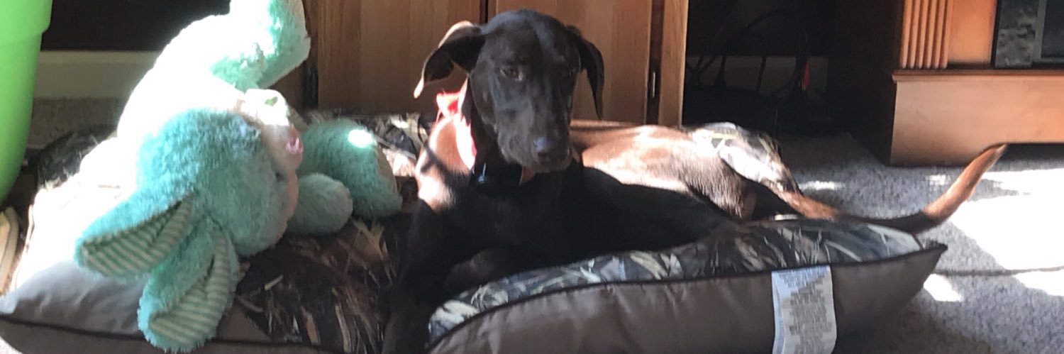 LeeAnnaa2's profile banner image