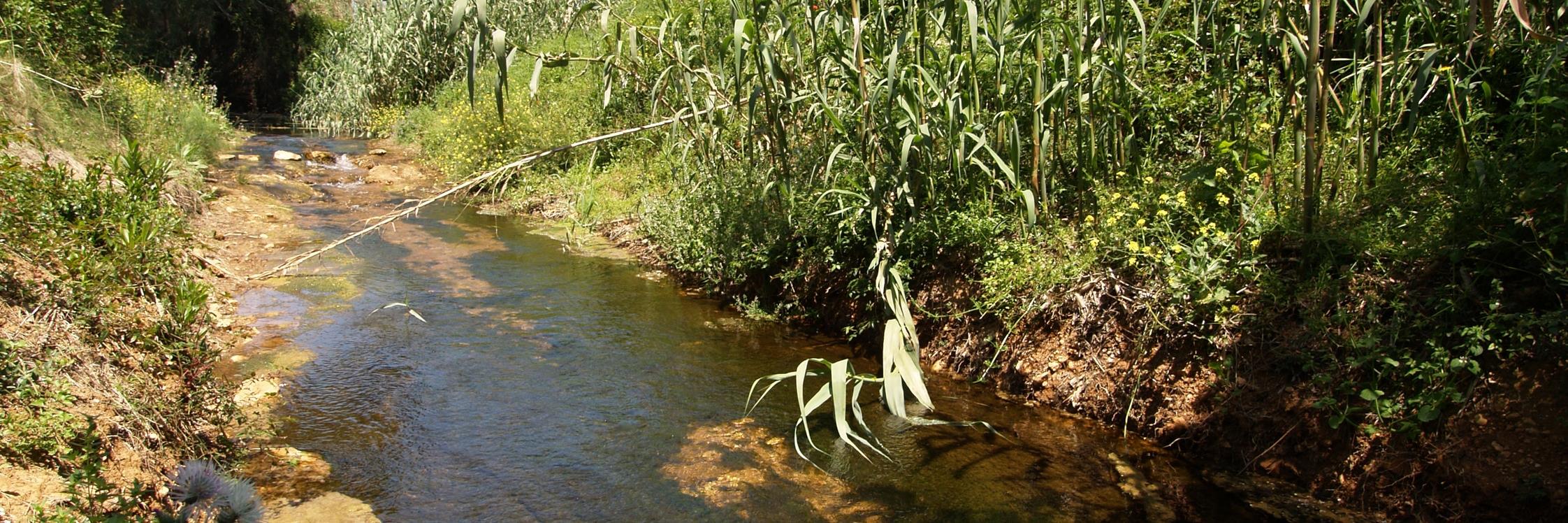 Vicente Marí Torres banner