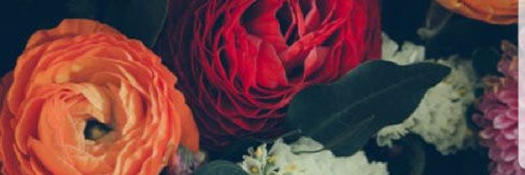 pristhe1's profile banner image