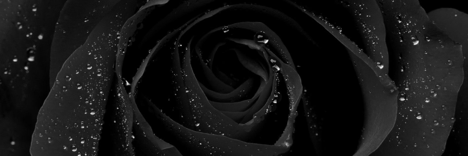 RaMorningstarr's profile banner image