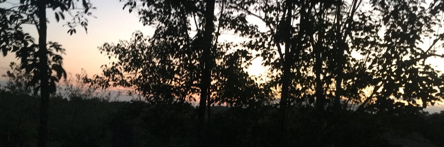 dafegosa's profile banner image