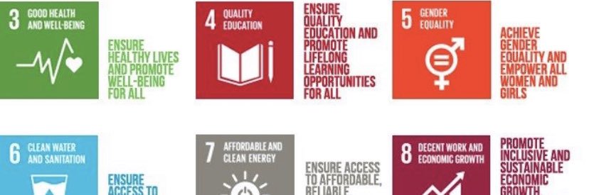 SDG banner