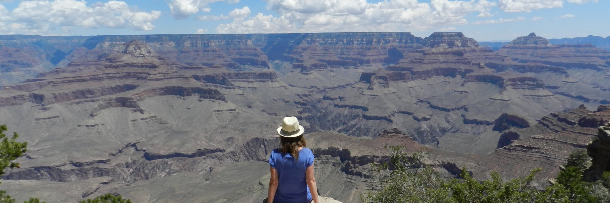 Adriana Moreira banner