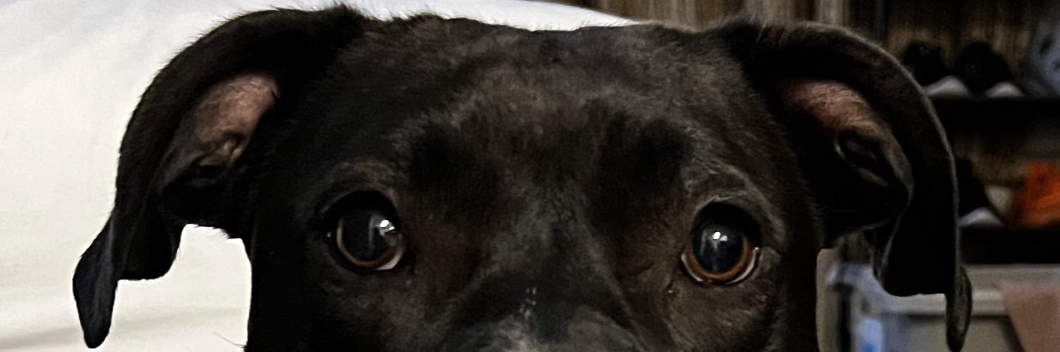 ErmagerdSerdney's profile banner image