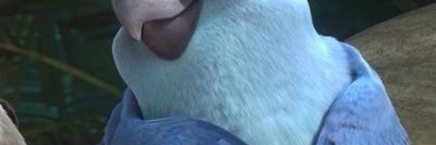 Boling Olen banner