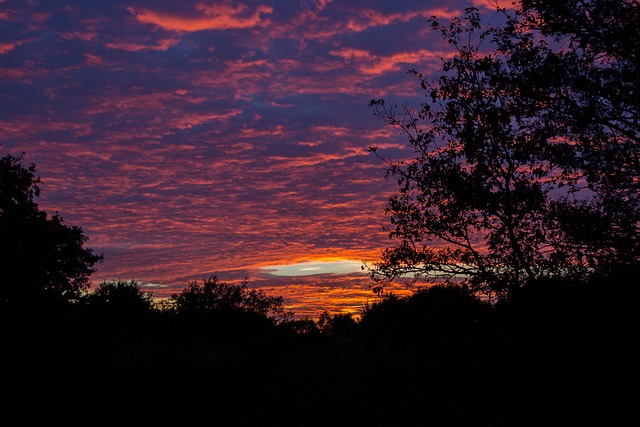 bb_TNbb's profile banner image
