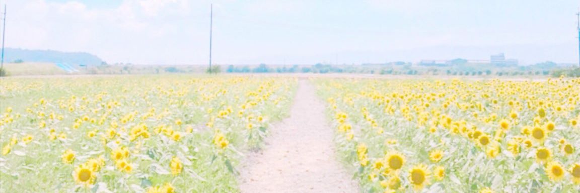 kinoko3937's profile banner image