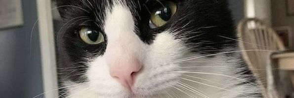 clevormitchh's profile banner image