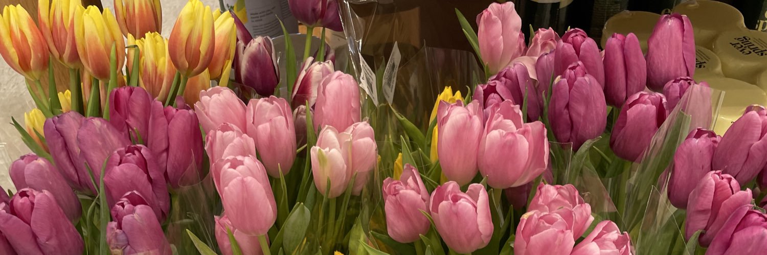 Jelliesting's profile banner image