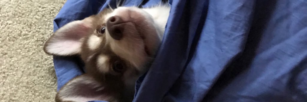 mackrox18's profile banner image