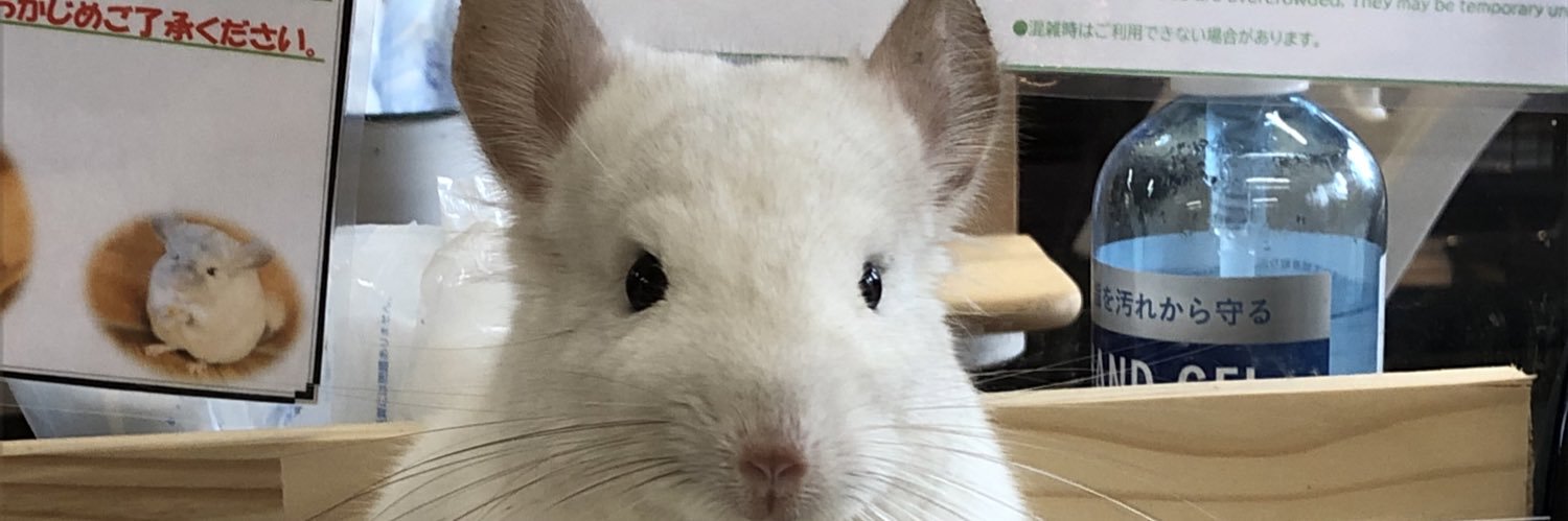 n_nvanson's profile banner image