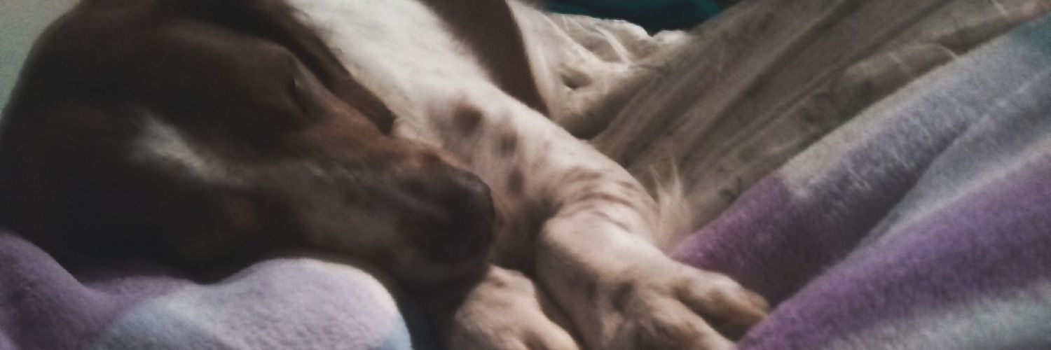 Unadel98's profile banner image