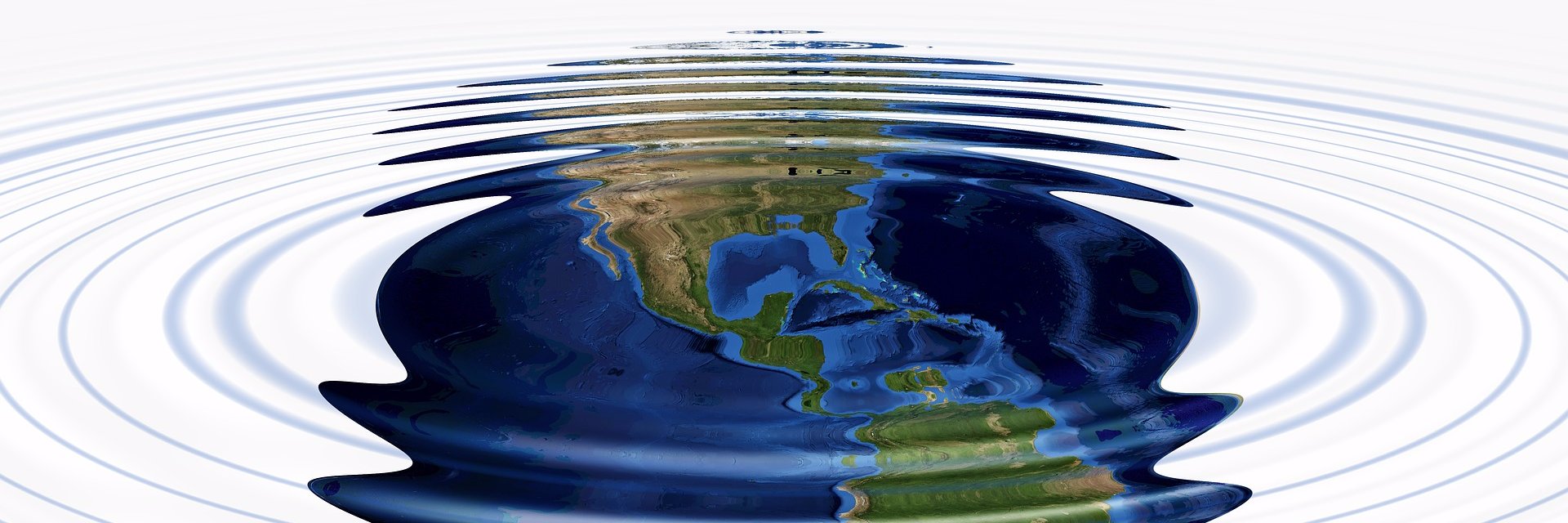 logicalecology's profile banner image