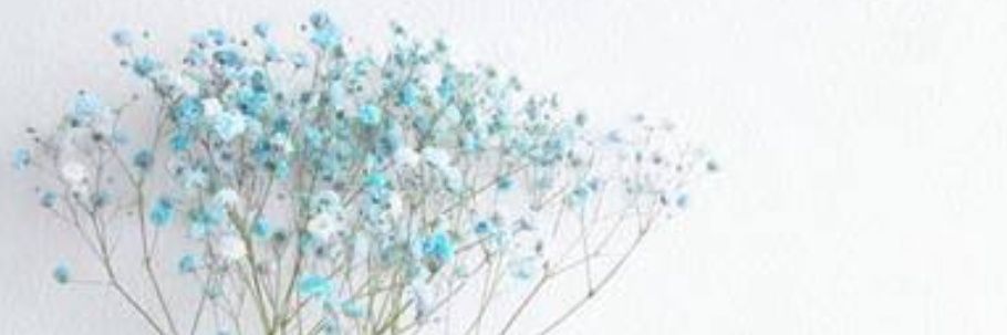 blackpanchan's profile banner image