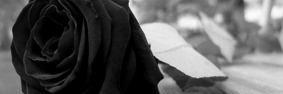 cat77CATHY's profile banner image