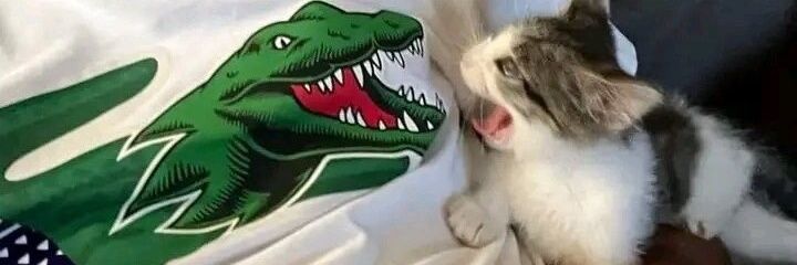 Doests's profile banner image