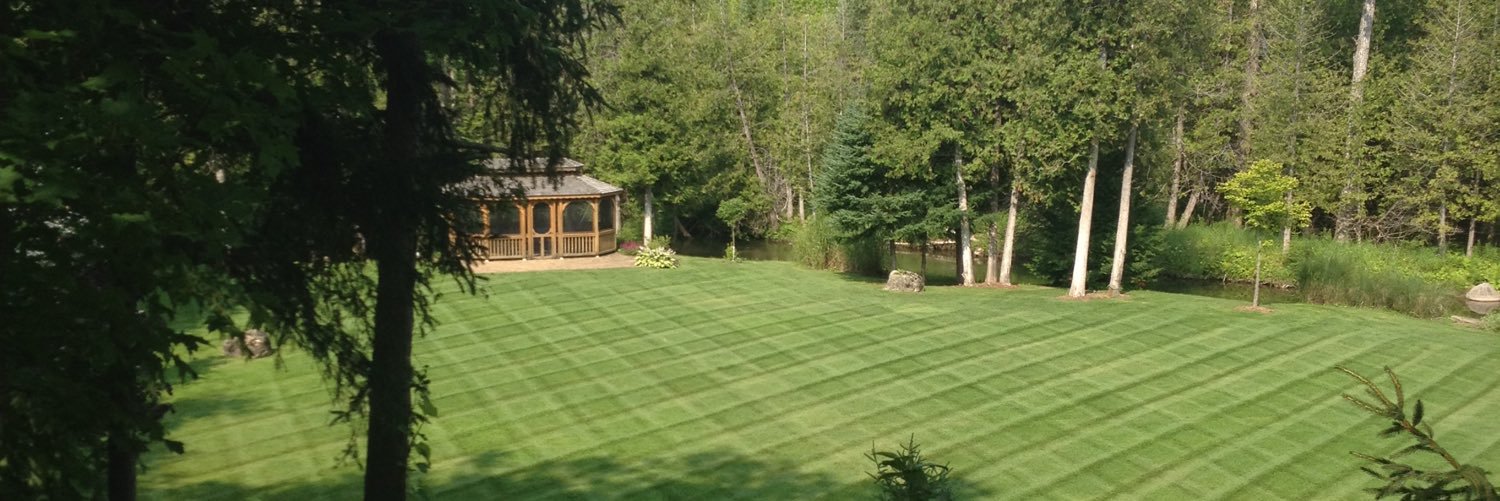 Paul Nicholson banner