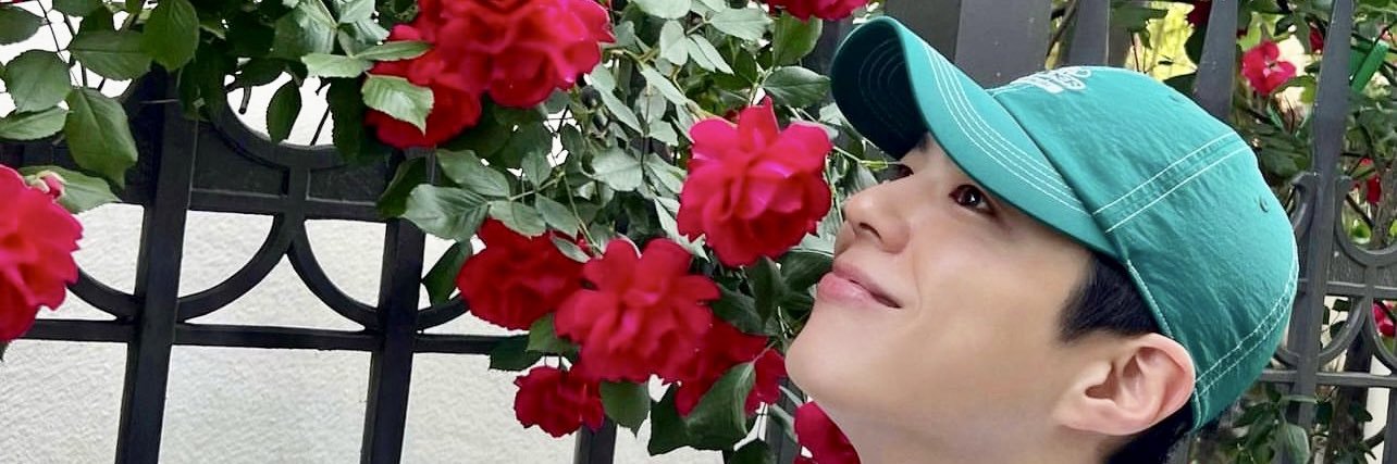 Sakurose104's profile banner image