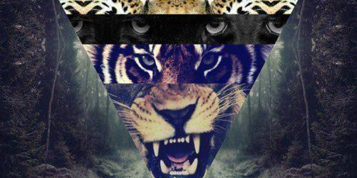 Magnolia_Azul's profile banner image
