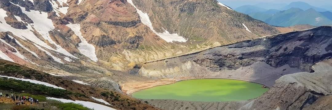 vicky✨️🐇🍀 banner