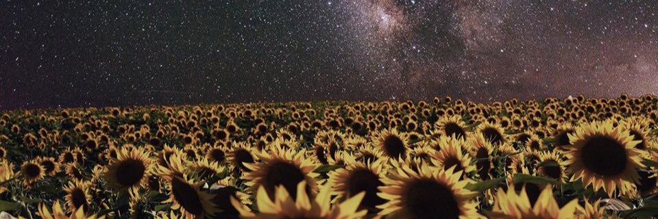 taylor_newman07's profile banner image