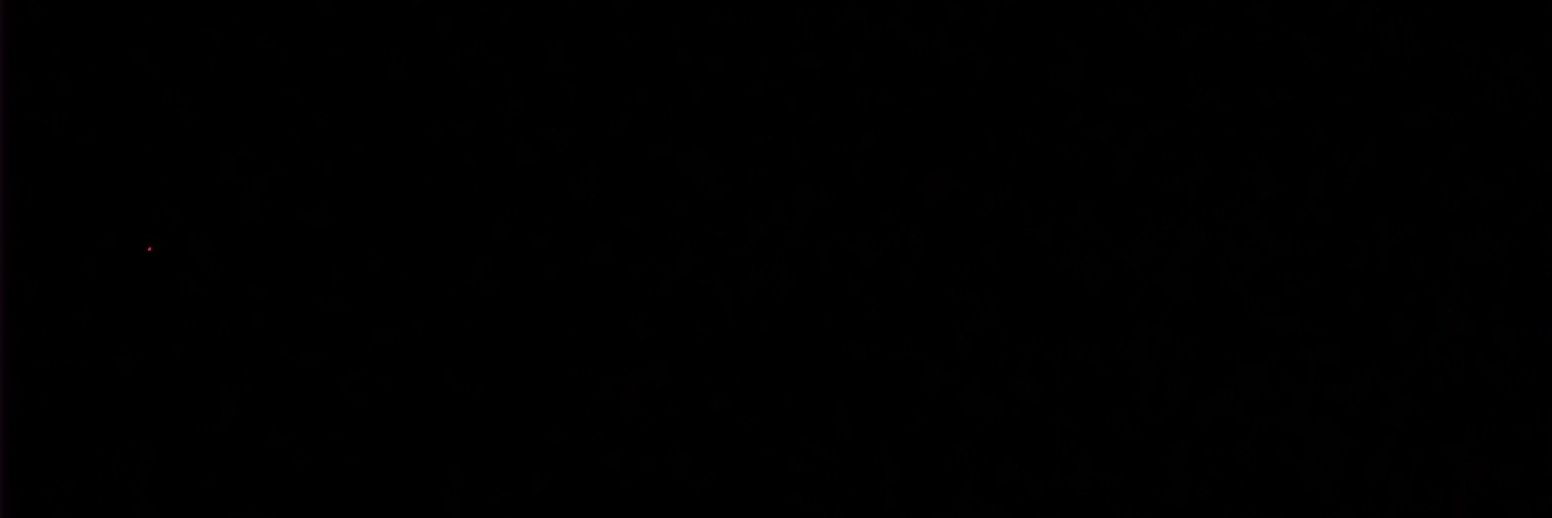 b_tommy12's profile banner image
