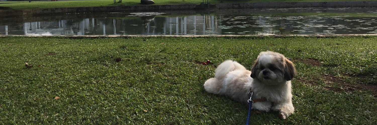 •andrea• banner