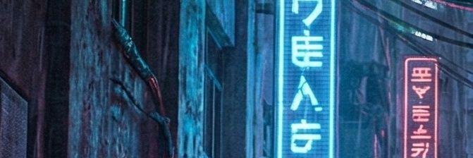 Dr. Veg4 Punk banner