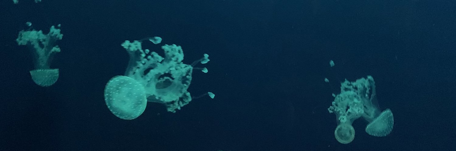 MrsVn4Zs's profile banner image