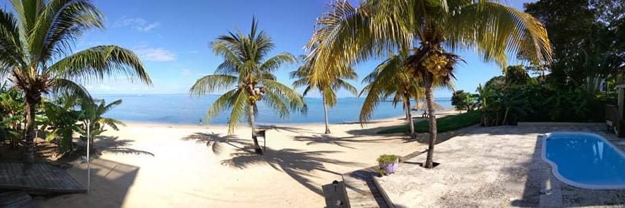 Amanda Snyder banner