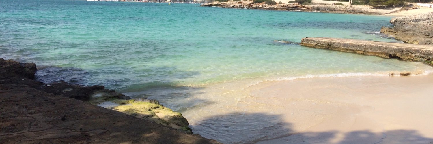 estrassa's profile banner image