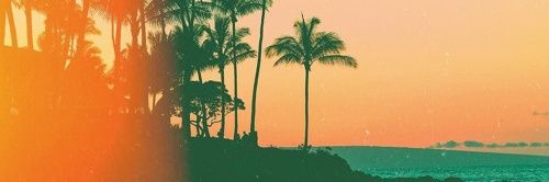 MikeC43va's profile banner image