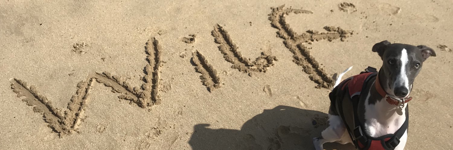 misslflint's profile banner image