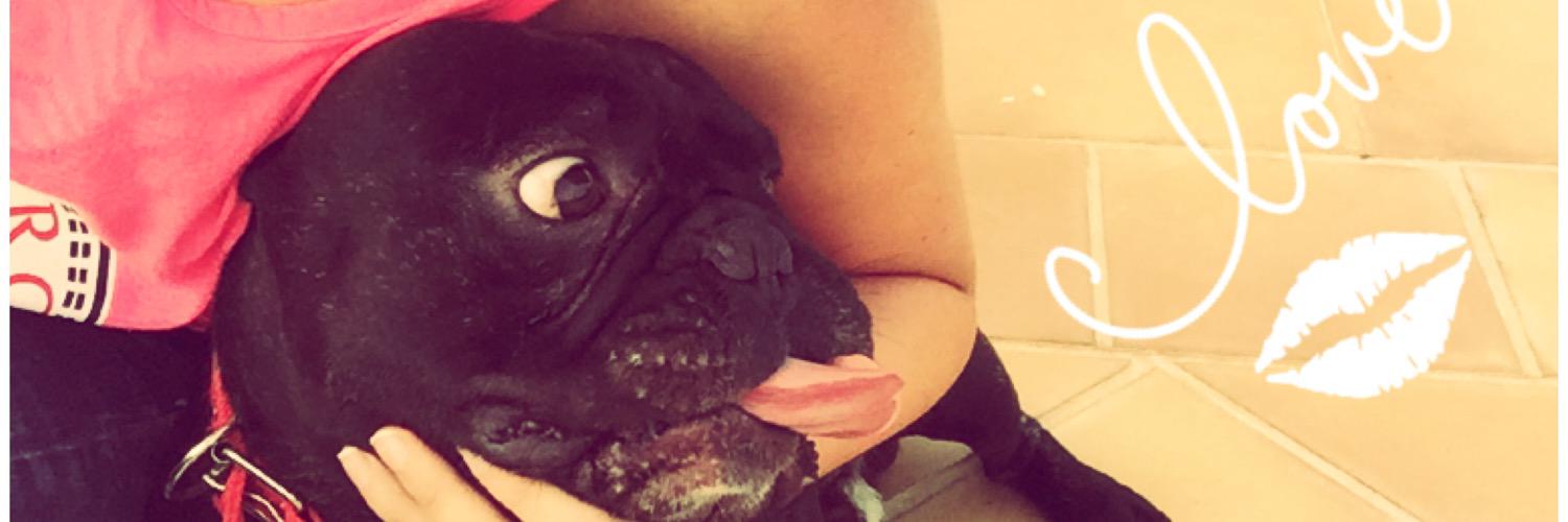 Litelpink's profile banner image