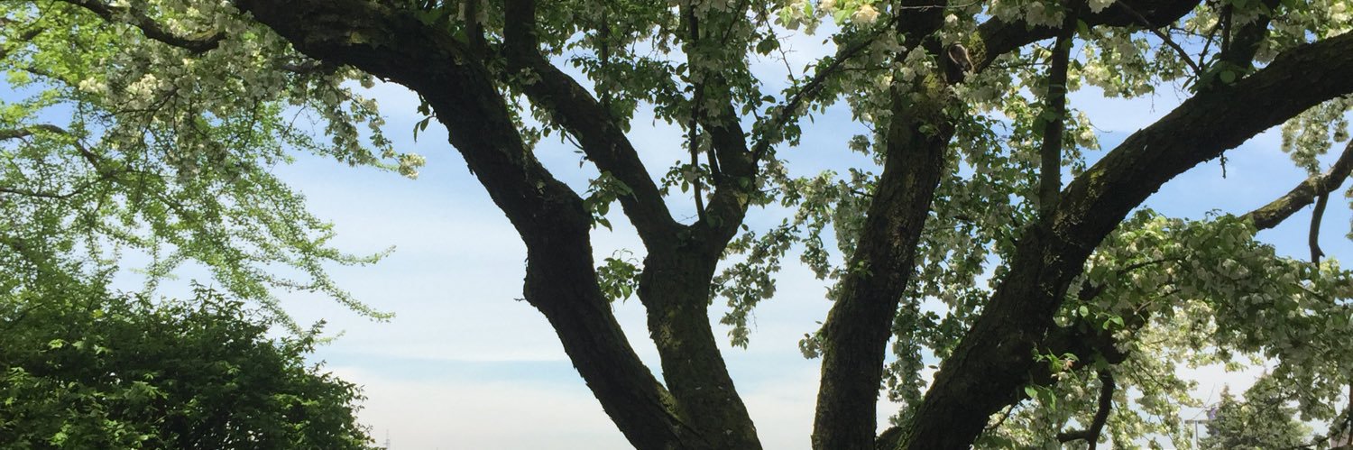 Gaclyn's profile banner image
