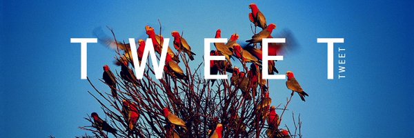 MommyPR Profile Banner