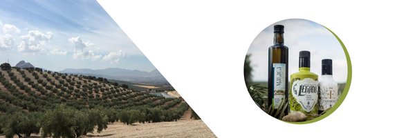 FincaColchado Profile Banner