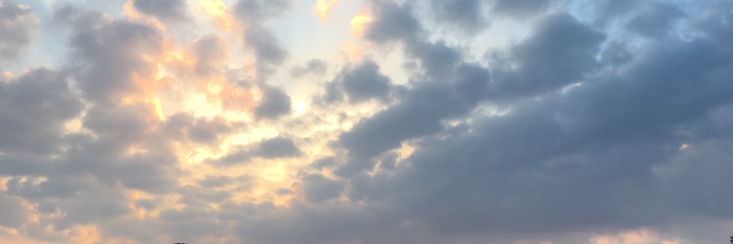 P_PAPPT's profile banner image