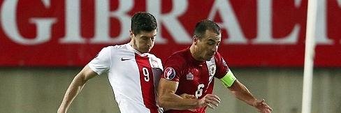 Roy Chipolina banner