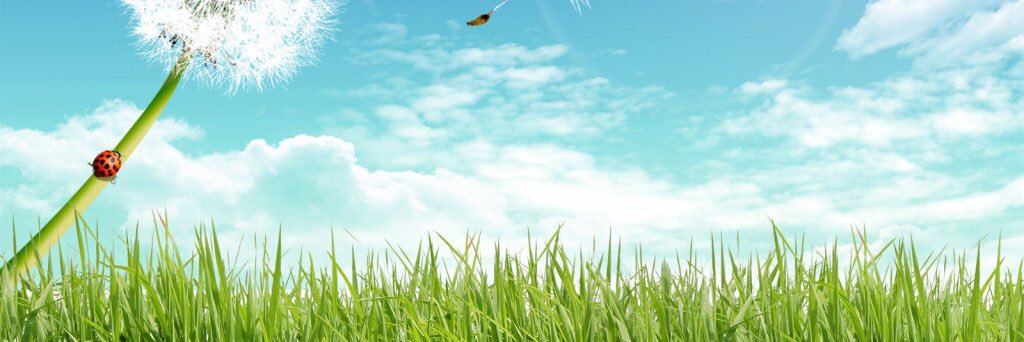 GuideMcbeth's profile banner image