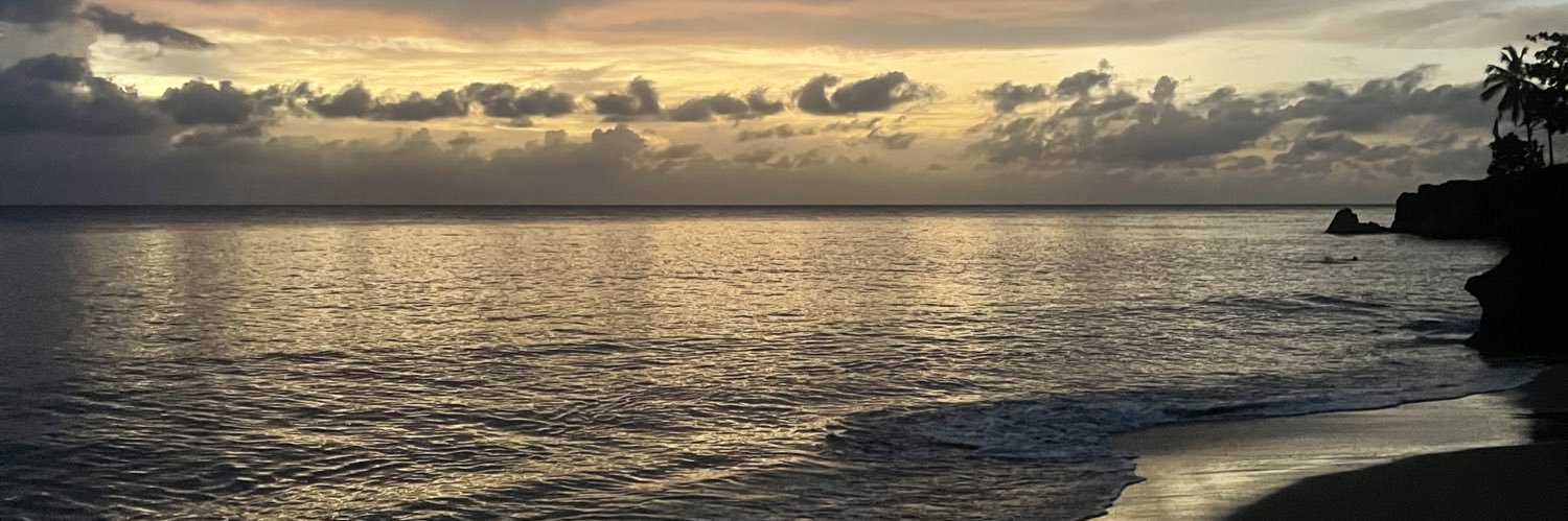 vonneton's profile banner image