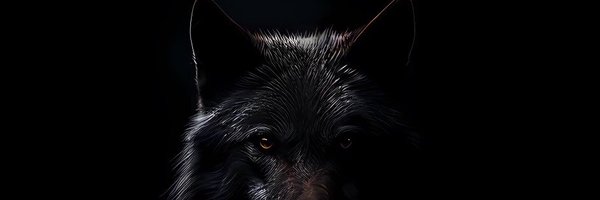 K00ZA_ Profile Banner