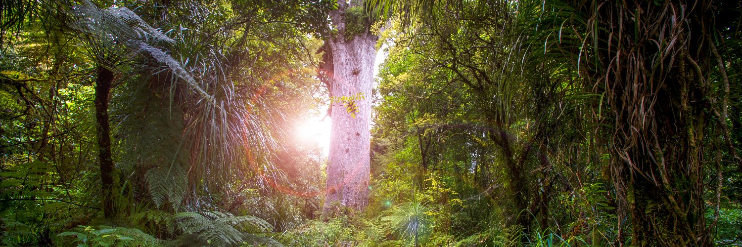 NorthlandRegCouncil banner